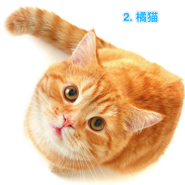 阴明于2019-03-08 19:01发布的图片